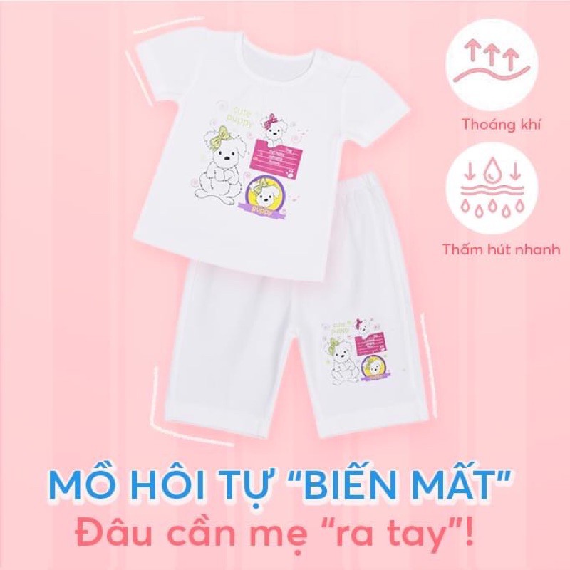 [Hello BB] Size bé 8-23kg BỘ LỬNG TRẮNG IN BÉ GÁI Hello B&B hình in áo và quần giao ngẫu nhiên (có thể ko trùng)