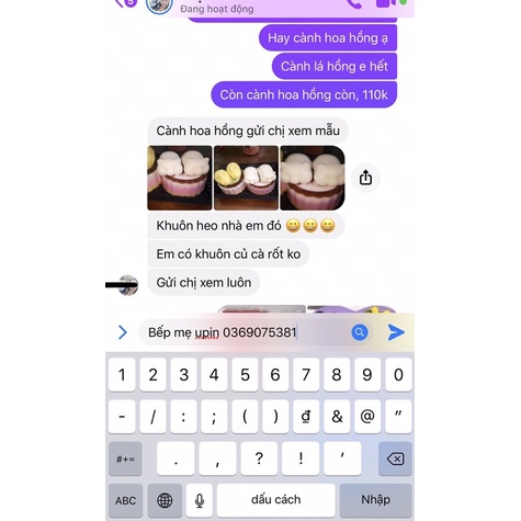 Khuôn vỉ heo 6 con đáng yêu khuôn silicon làm thạch rau câu pudding mousse