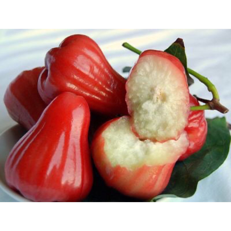 Mận An Phước Bao Ngon Tiền Giang