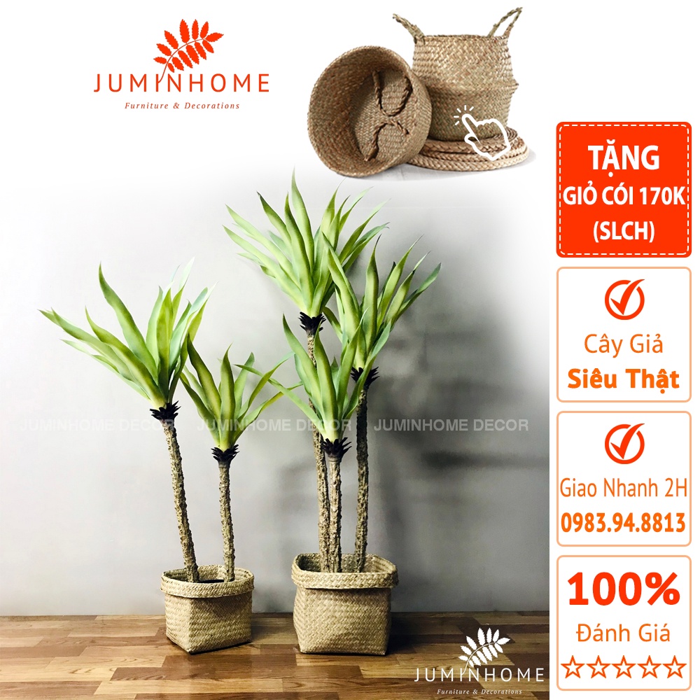 Cây giả, Cây dứa giả, dứa rừng - Cây giả decor trang trí nhà cửa nội thất phòng khách phòng ngủ