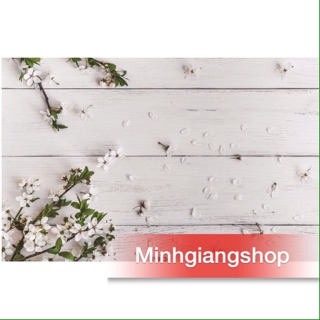 Thảm chụp ảnh 3d view hoa trắng rơi nền trắng