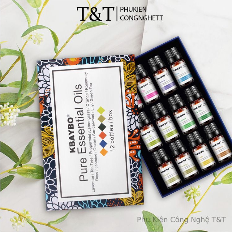 Bộ 12 Lọ Tinh Dầu Thơm Phòng Xe Hơi KBAYBO - Essential Oils - Dung tích 10ml