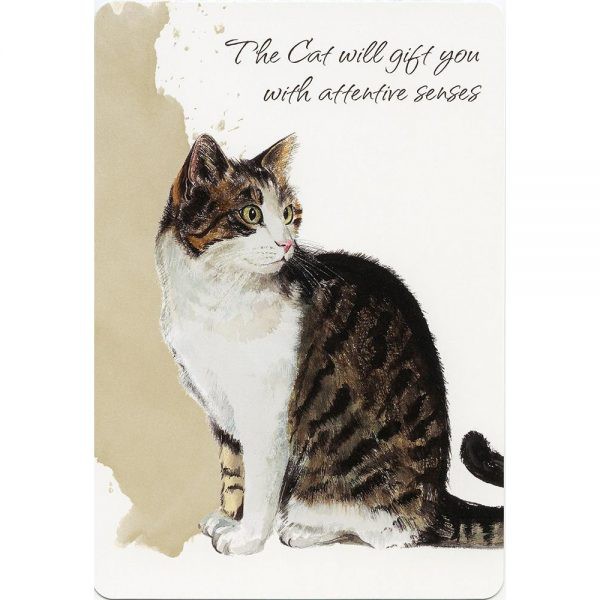 Bộ Bài Power Animals Spirit Guide (Mystic House Tarot Shop) - Bài Gốc Authentic Chính Hãng 100%