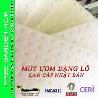 COMBO 480 VIÊN MÚT XỐP ƯƠM HẠT CAO CẤP NHẬT BẢN KHOÉT LỖ