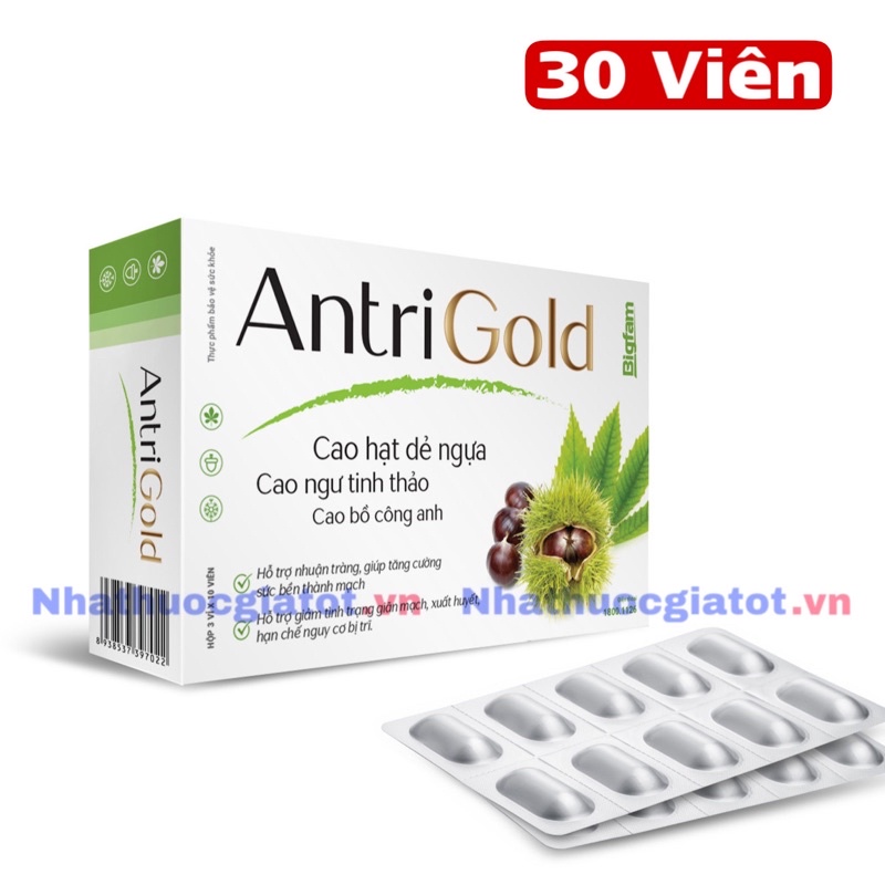ANTRI GOLD Hộp 30 Viên Hỗ Trợ Nhuận Tràng, Tăng Sức Bền Thành Mạch, Hỗ Trợ Giảm Xuất Huyết Do Trĩ
