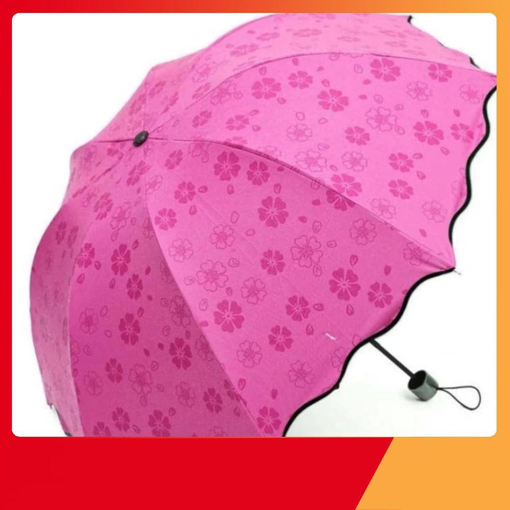 [FREESHIP] Dù đi mưa gặp nước tự động nở hoa nhiều màu
