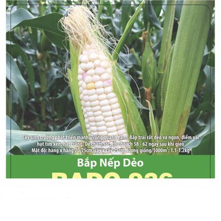 Hạt Giống Bắp Nếp Dẽo Ngon 10gr