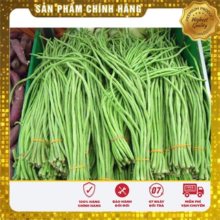 Bộ gói hạt giống đậu đũa xanh
