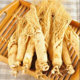 Sỉ giá gốc nhân sâm 50g - 100g