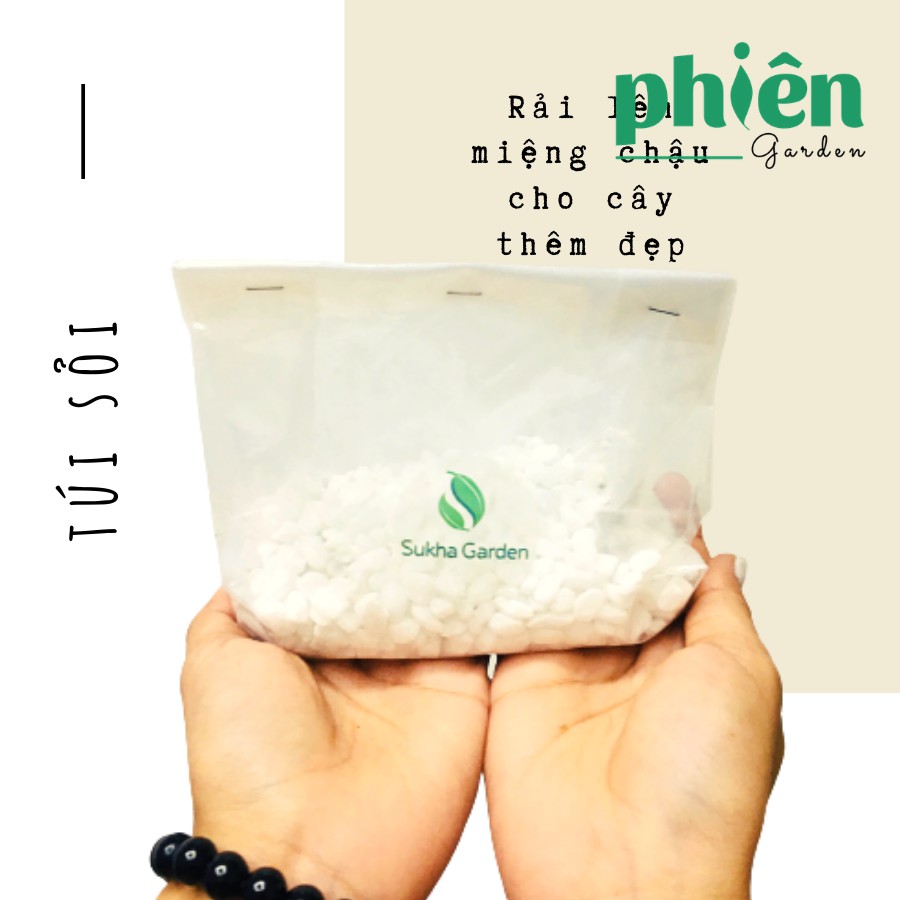 Sỏi trắng lát nền, lót chậu trang trí cây xanh, trang trí chậu cây