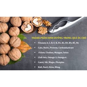 Hạt Óc Chó Tách Vỏ 🌼 Thức ăn cho Hamster