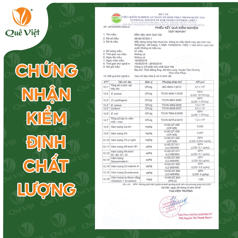 Combo Mầm đậu nành nguyên xơ Quê Việt tăng vòng 1, cải thiện nội tiết tố phụ nữ (2 Hộp x 500Gr)