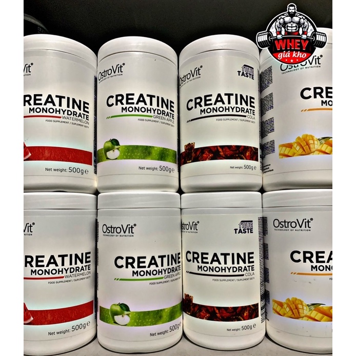 Thực Phẩm Bổ Sung Tăng Sức Mạnh Ostrovit Creatine Monohydrate 500g