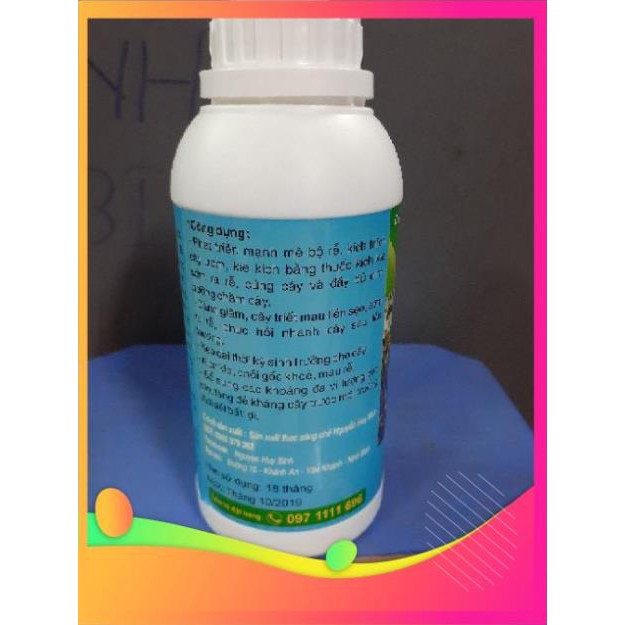 Chế phẩm kích rễ Ngọc Linh chai 500ml