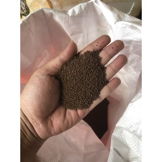 Cám micro 80 bao 15kg