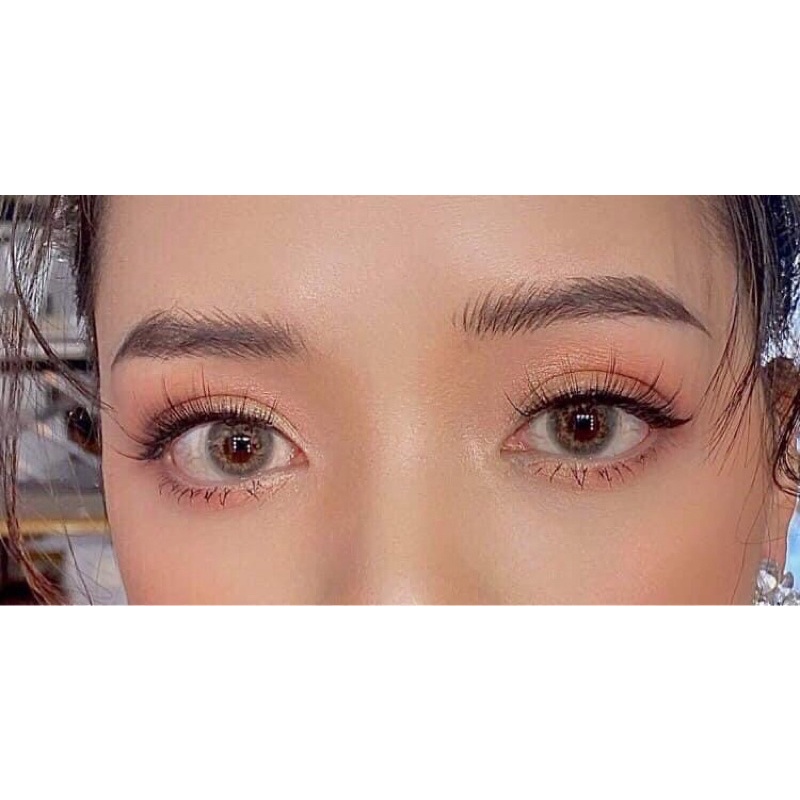 Lông mi giả APEX 6D