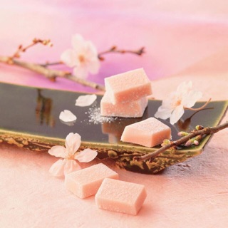 CHOCOLATE TƯƠI NAMA VỊ SAKURA