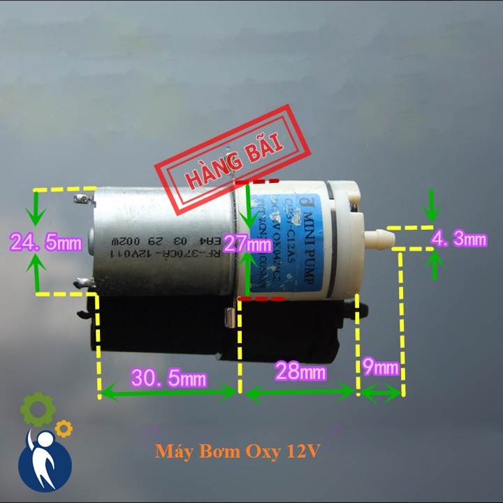 Máy Bơm Oxy Điện Áp 12V có tặng kèm 1 ống cao su + 1 đá sủi oxy