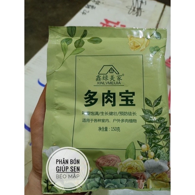 phân tán chậm cho sen mập ú
