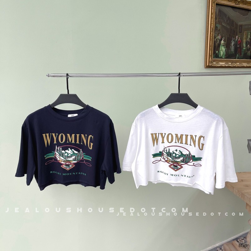 [Mã WASKT304 giảm 15% tối đa 30K đơn 99K] Áo croptop WYOMING 5745