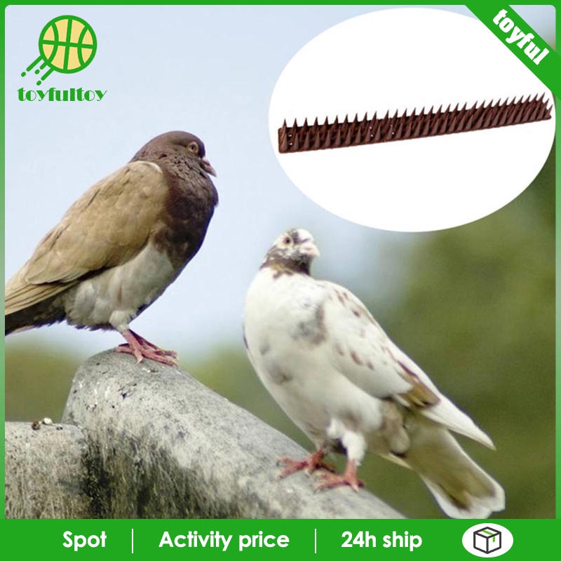 Bộ Chim Bồ Câu Bằng Nhựa Đuổi Chim Tiện Dụng