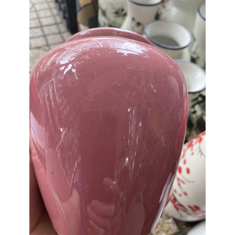 Lu bia mầu vàng và cam đã ra mắt