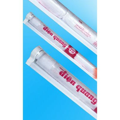 Bộ đèn LED tube T8 đơn Điện Quang ĐQ 0.6m 9W, ánh sáng trắng, bóng máng rời - Điện nước gia dụng Hoàng Kim