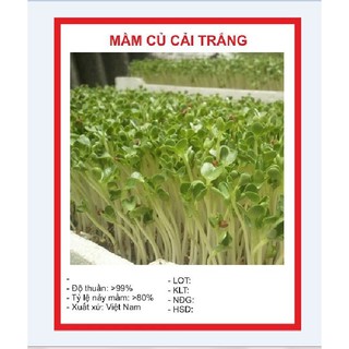 Bộ gói hạt giống Mầm củ cải trắng