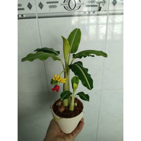 Chậu chuối đất sét size nhỏ