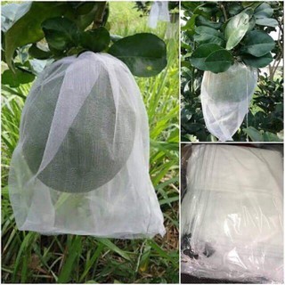 10 túi bọc trái cây kích thước 30x35cm