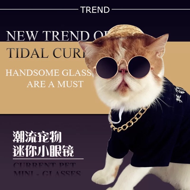 🌈 KÍNH CHO MÈO,KÍNH CHO CHÓ HÀNG ĐẸP GỌNG DÀY