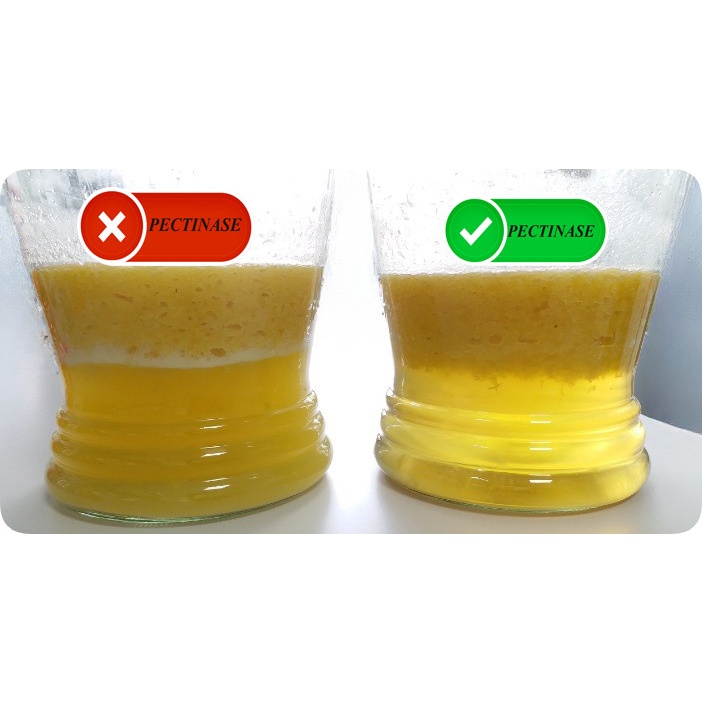 Enzyme pectinase 100g Thủy phân pectin, ứng dụng trong sản xuất