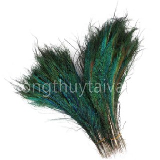 Lông Công RIA 30cm ♈trang trí ,chiêu tài phong thủy