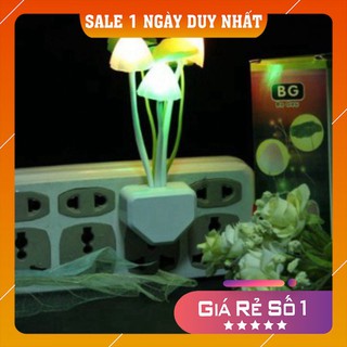 Đèn ngủ cảm ứng 💖FREESHIP💖 Đèn ngủ hình nấm thông minh cảm ứng ánh sáng tự bật tắt, tiết kiệm điện