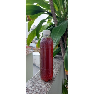 Mật ong rừng Nghệ An- 0.5 lít