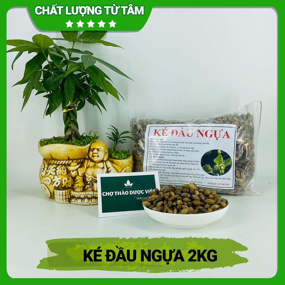 [Giá Sỉ] 2kg Ké Đầu Ngựa (Có 2 loại ké trơn và ké có gai)