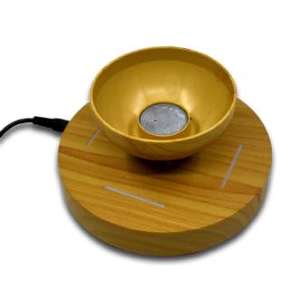 Chậu cây cảnh dạng nam châm độc đáo phong cách