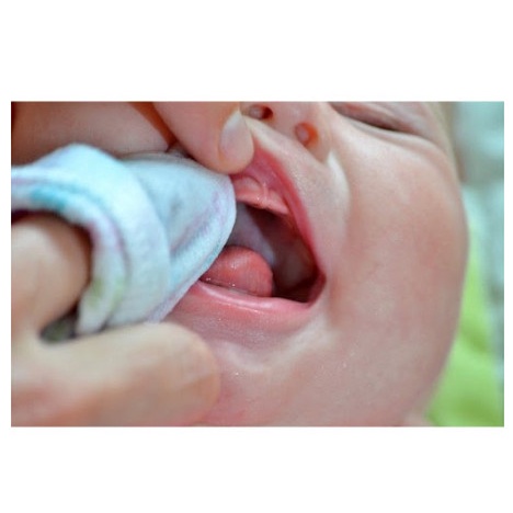 10 Khăn sữa cho bé sơ sinh Kiba cotton loại 2 lớp tiện lợi