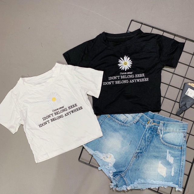 Áo CROPTOP THÊU BÔNG CÚC  Hót (kèm ảnh chụp)