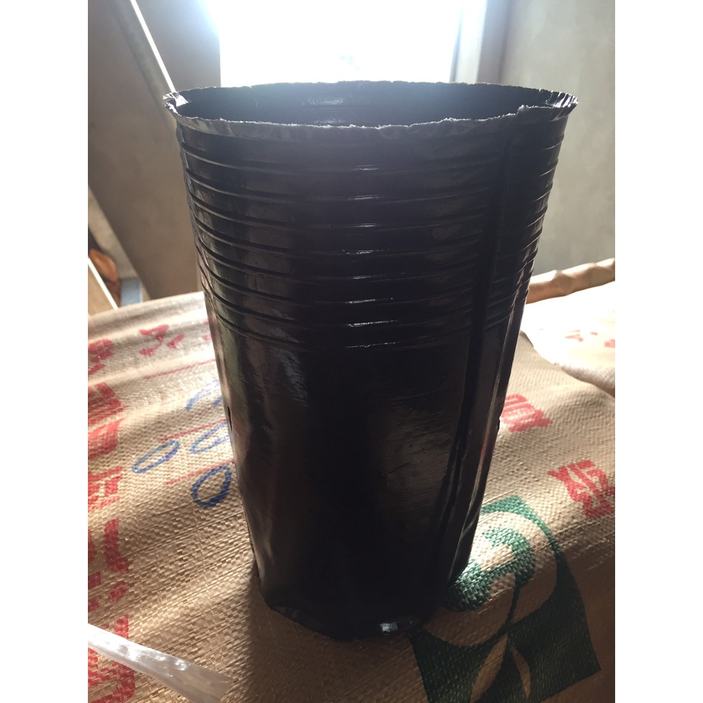 1 KG BẦU ƯƠM C18 (DỊCH TRUYỀN CHO CÂY, BẠT CHỐNG CỎ, KEO RUỒI VÀNG...)