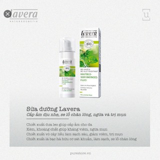 Kem dưỡng ẩm bạc hà Lavera (50ml)