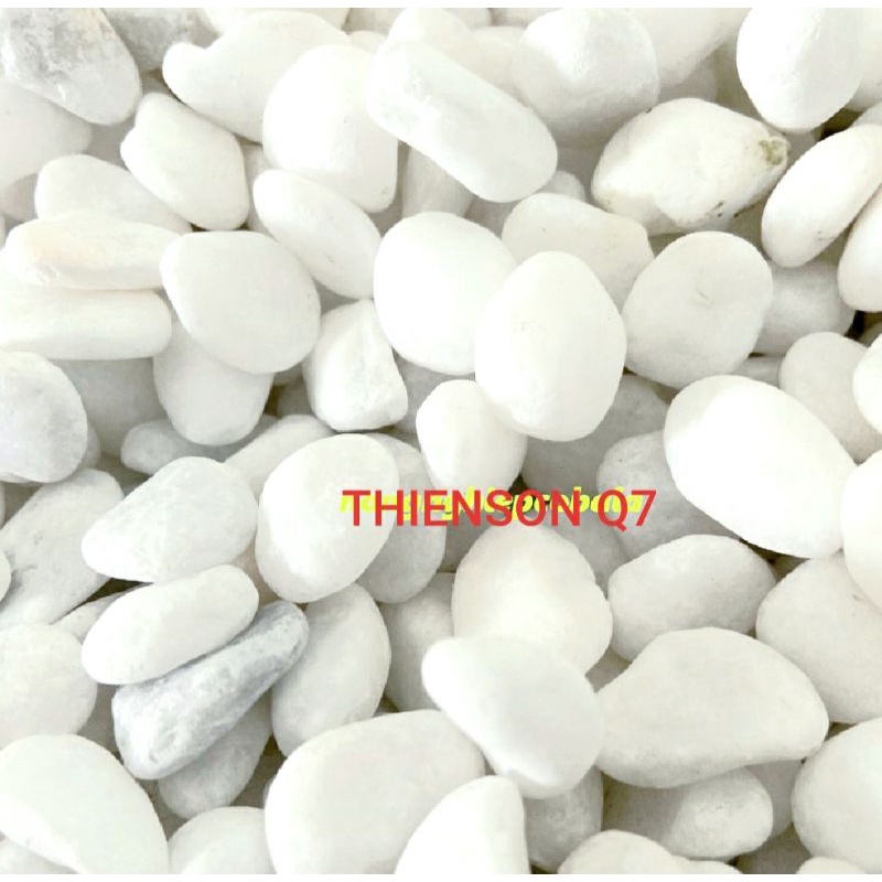 1Kg Sỏi Trắng Tự Nhiên Trang Trí Hồ Cá, Chậu Cây
