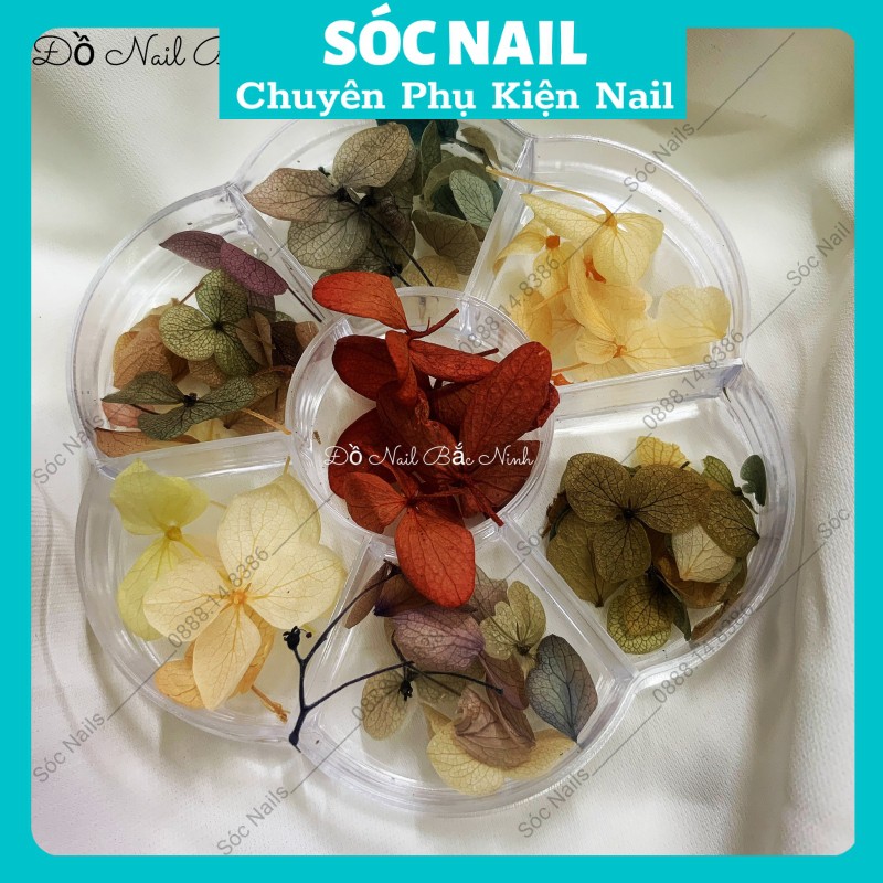 Hoa Khô Lụa Ẩn Móng Gel Nail Giá Rẻ,Hoa Trang Trí Móng Hàn Quốc 7 Màu