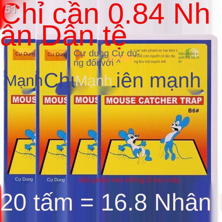 dính chuột siêu mạnh gia dụng Ban bán buônL