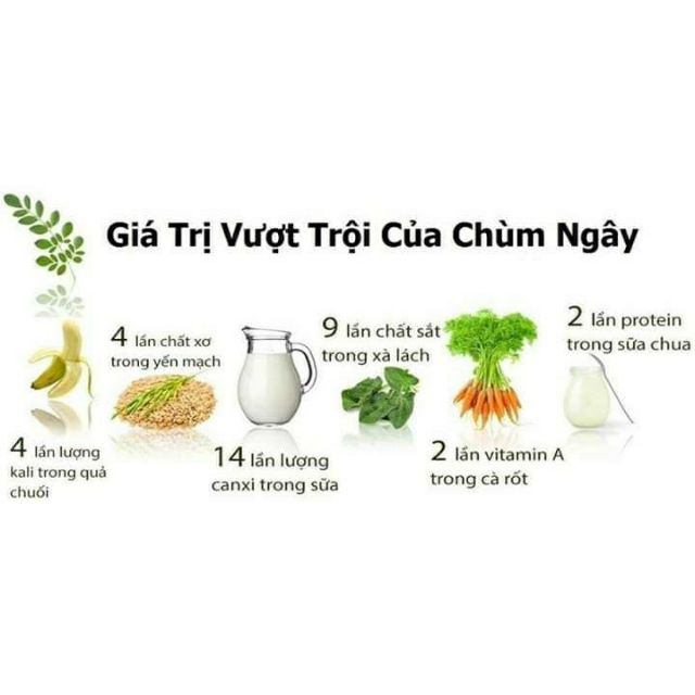 Trà Túi lọc chùm ngây giải độc cơ thể