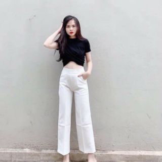 Quần suông 3 màu