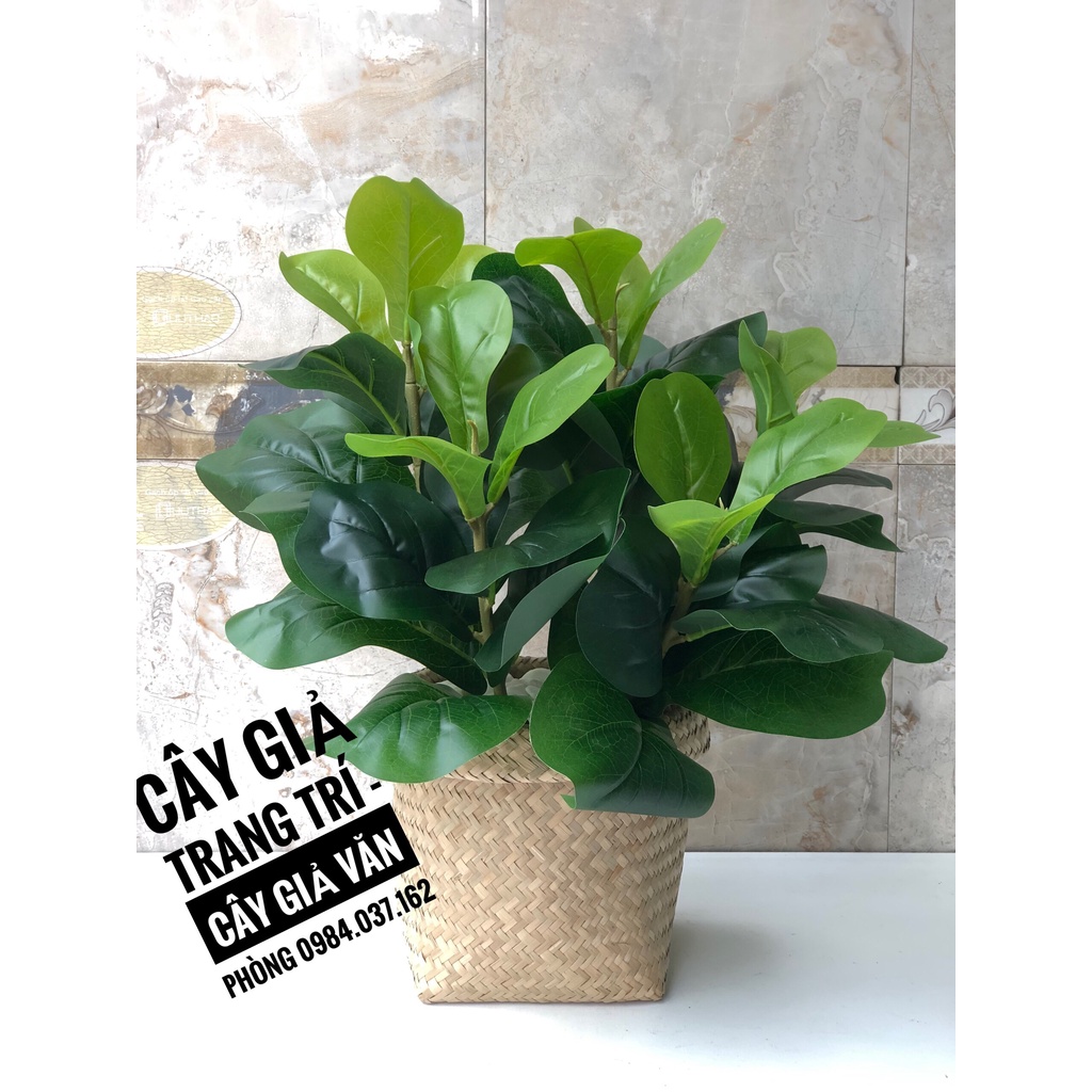 Cây bàng giả nhỏ trang trí bàn kèm chậu- Cây giả