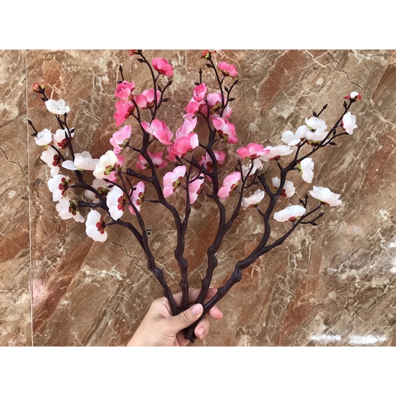 Đào Cổ cành 40cm trang trí ,Cắm bình!