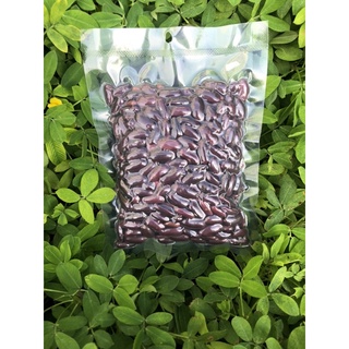 Đỗ đỏ / Đậu đỏ hạt to