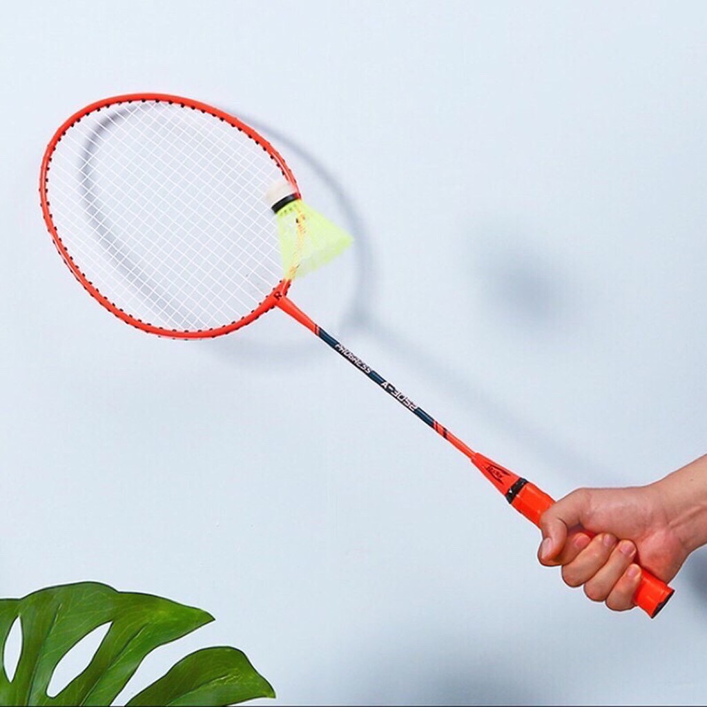 Vợt Cầu Lông Rodler HỢP KIM NHÔM Tặng Kèm Hộp 6 Quả Cầu  - HÀNG CHẤT LƯỢNG CAO 100% Khung Carbon Siêu Bền CT173A